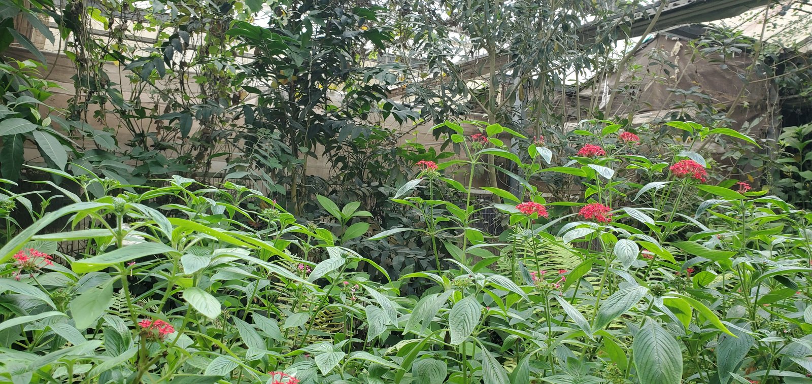 新北五股 準休閒農場：讓小孩放電的地方/ 滿山滿谷的嬰幼兒